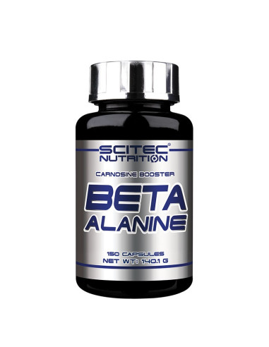 beta alanine scitec nutrition