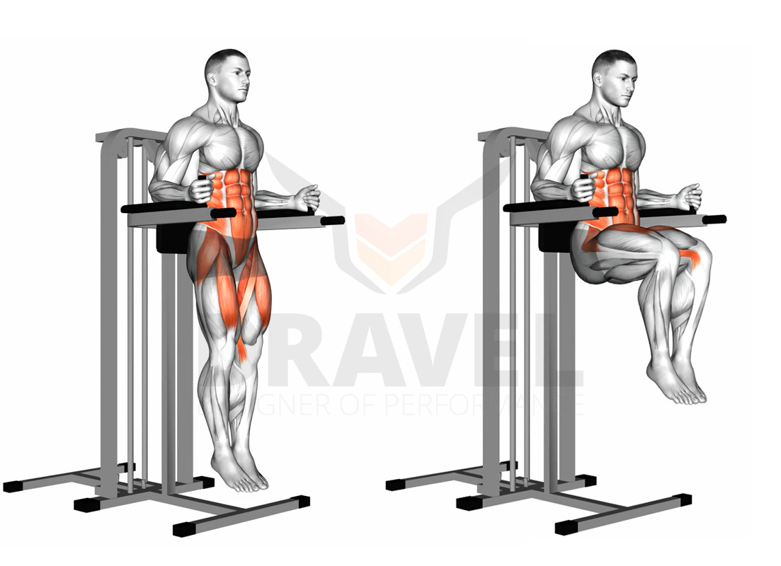 Musculation des abdominaux