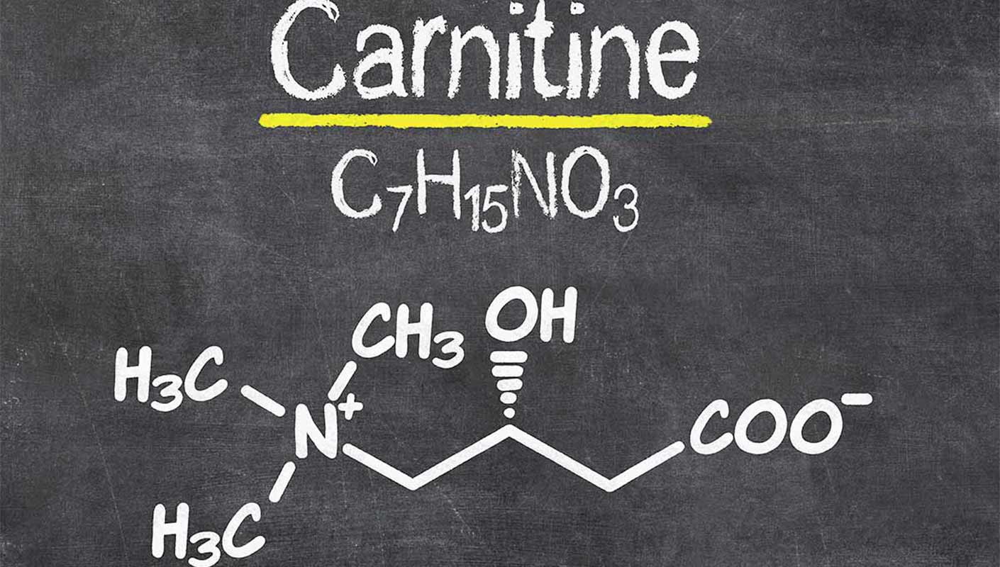 l-carnitine perte de poids