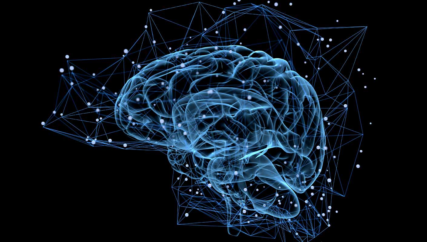 Créatine et fonctions cognitives