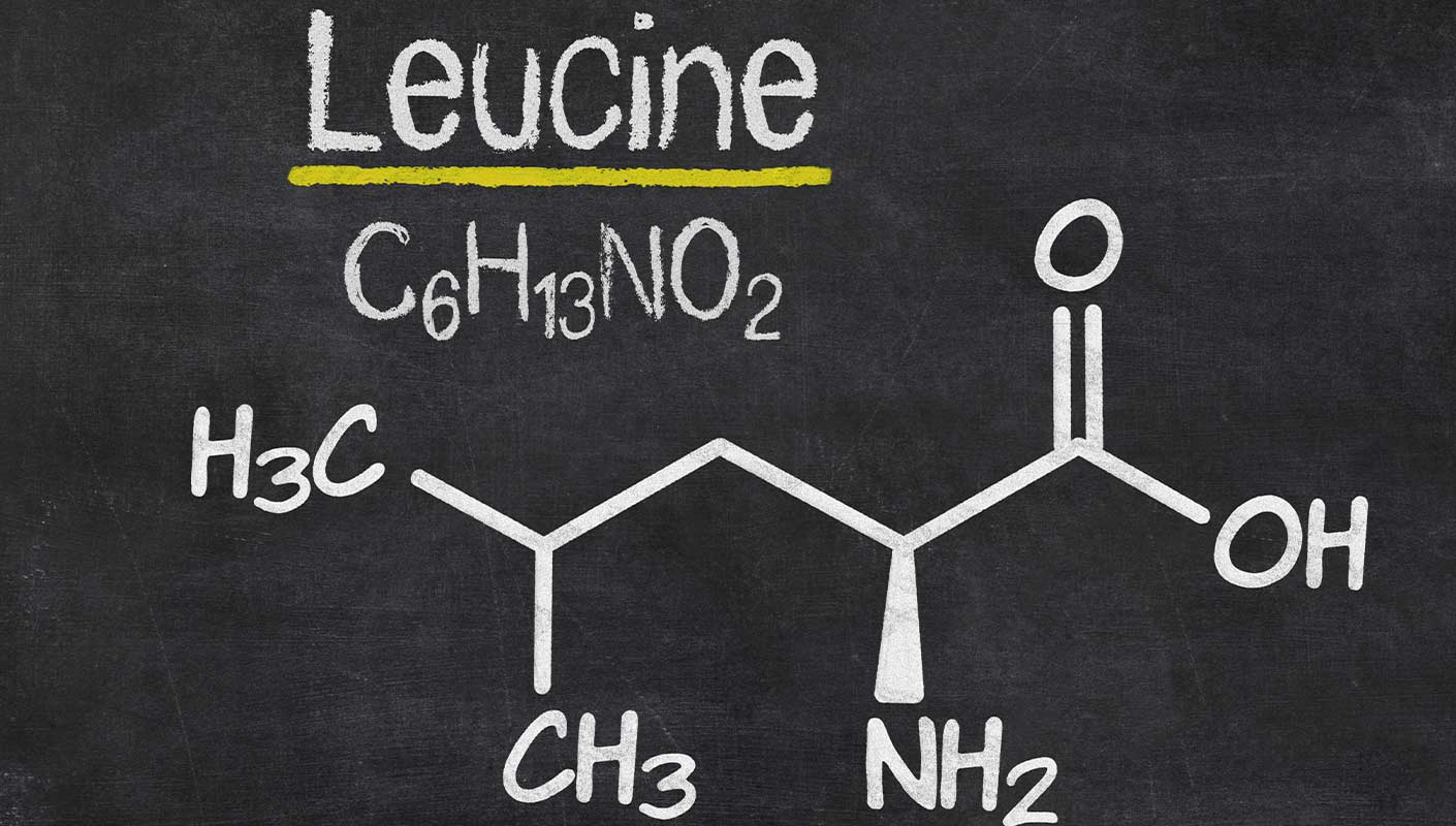 Leucine