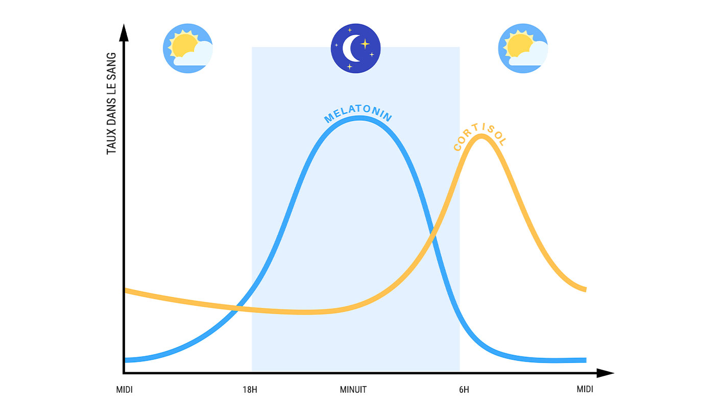 taux de mélatonine