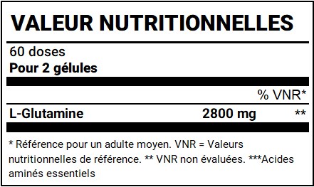 mega glutamine scitec nutrition