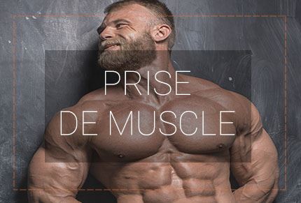 prise de muscle