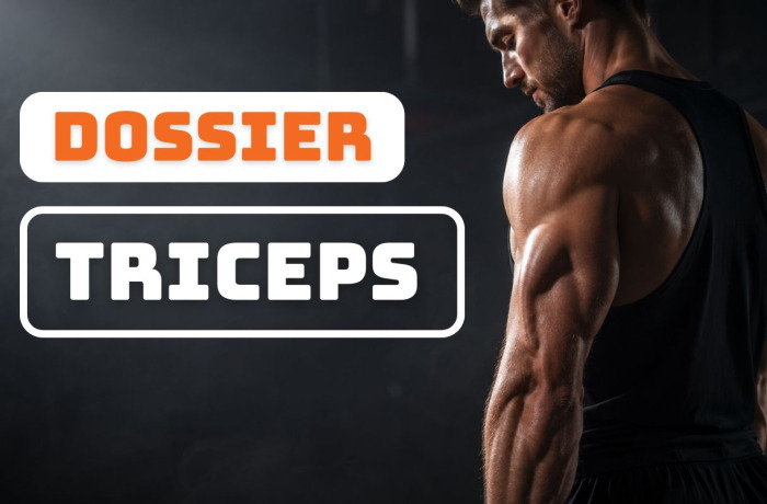 Exercice triceps : 8 mouvements pour muscler les 3 chefs