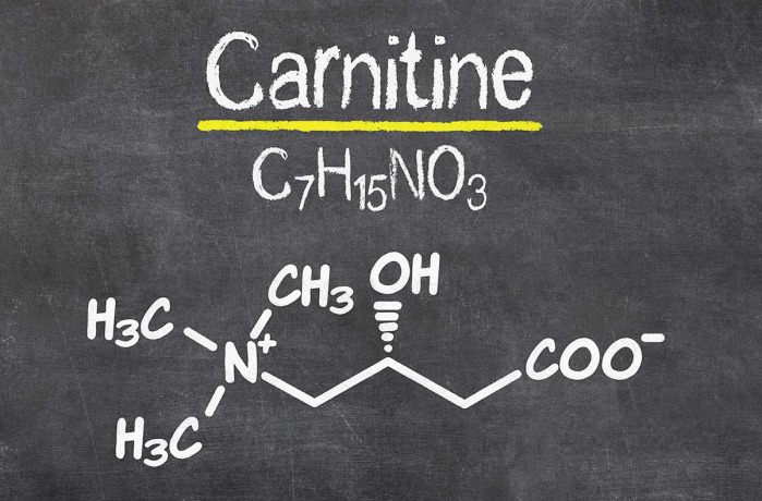 L-Carnitine : Les bienfaits sur la perte de poids