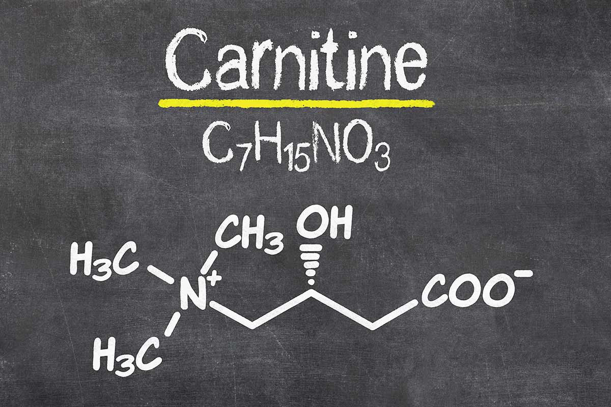 effet secondaire l carnitine L-Carnitine : Ses bienfaits et son utilisation détaillée